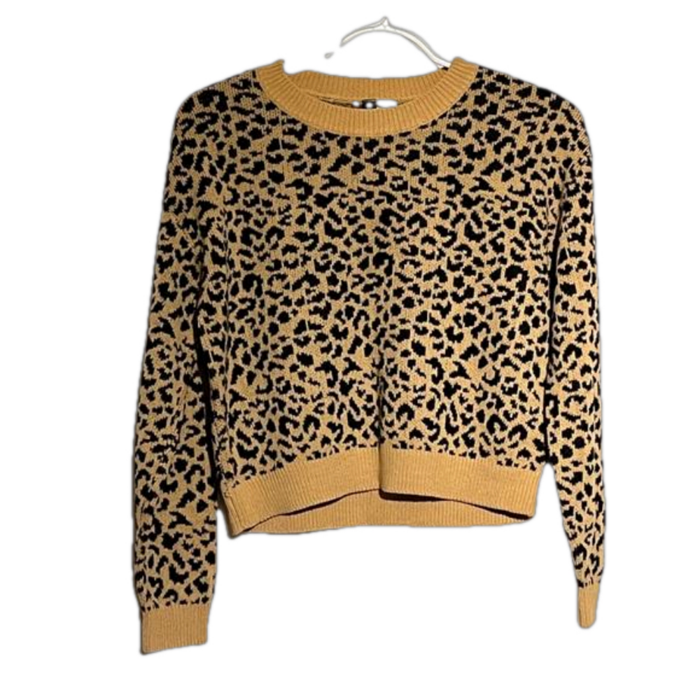 🌸🌸 5 for $15 🌸🌸 Cheetah pattern sweater by DIVIDED